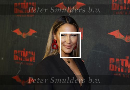 Amsterdam 28 februari 2022
Premiere Batman in Pathe Arena . Janice Blok
