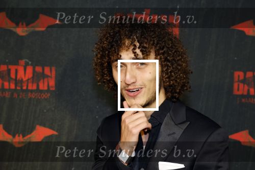 Amsterdam 28 februari 2022
Premiere Batman in Pathe Arena .
Kwebbelkop Jordi v d Bussche