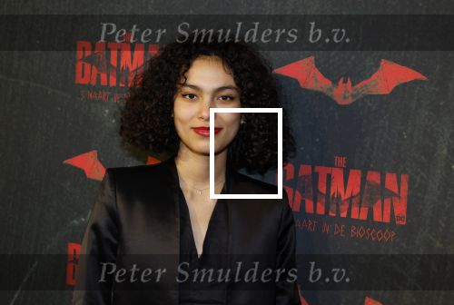 Amsterdam 28 februari 2022
Premiere Batman in Pathe Arena .
Julia Tan