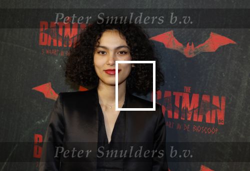 Amsterdam 28 februari 2022
Premiere Batman in Pathe Arena .
Julia Tan