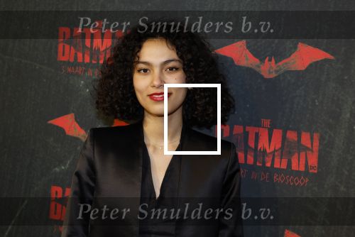 Amsterdam 28 februari 2022
Premiere Batman in Pathe Arena .
Julia Tan