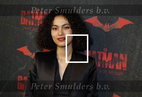 Amsterdam 28 februari 2022
Premiere Batman in Pathe Arena .
Julia Tan