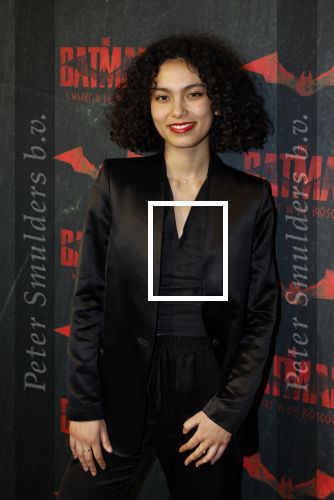 Amsterdam 28 februari 2022
Premiere Batman in Pathe Arena .
Julia Tan