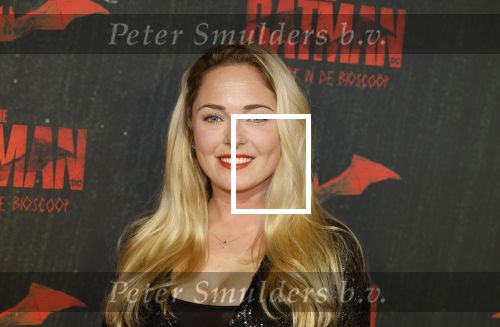 Amsterdam 28 februari 2022
Premiere Batman in Pathe Arena .
Lente Voorhoeve