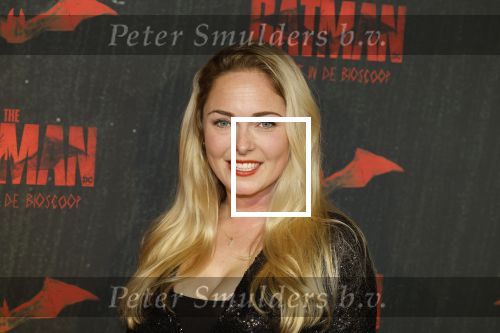 Amsterdam 28 februari 2022
Premiere Batman in Pathe Arena .
Lente Voorhoeve