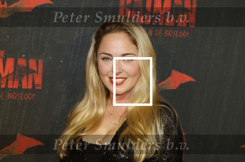 Amsterdam 28 februari 2022
Premiere Batman in Pathe Arena .
Lente Voorhoeve