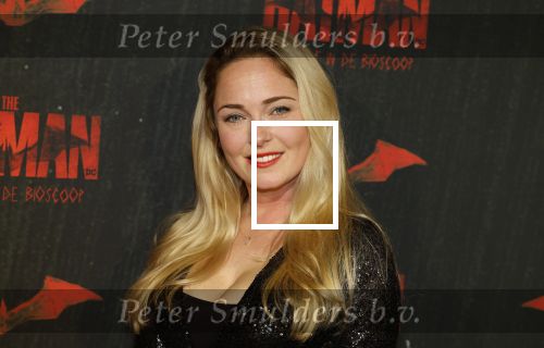 Amsterdam 28 februari 2022
Premiere Batman in Pathe Arena .
Lente Voorhoeve