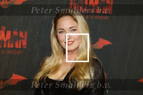 Amsterdam 28 februari 2022
Premiere Batman in Pathe Arena .
Lente Voorhoeve