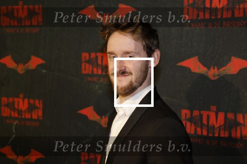 Amsterdam 28 februari 2022
Premiere Batman in Pathe Arena .
Nick Golterman
