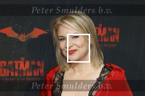 Amsterdam 28 februari 2022
Premiere Batman in Pathe Arena .
Pernille La Lau kwam met Addy v d Krommenacker