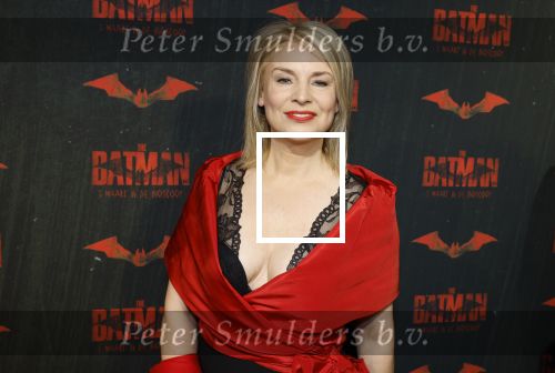 Amsterdam 28 februari 2022
Premiere Batman in Pathe Arena .
Pernille La Lau kwam met Addy v d Krommenacker