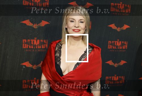 Amsterdam 28 februari 2022
Premiere Batman in Pathe Arena .
Pernille La Lau kwam met Addy v d Krommenacker