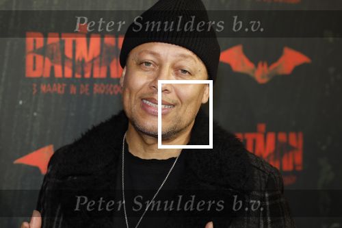 Amsterdam 28 februari 2022
Premiere Batman in Pathe Arena .
Sam de Wit
