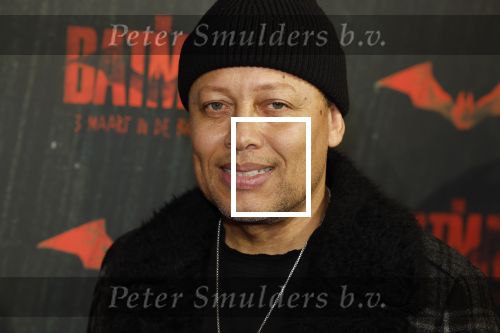 Amsterdam 28 februari 2022
Premiere Batman in Pathe Arena .
Sam de Wit