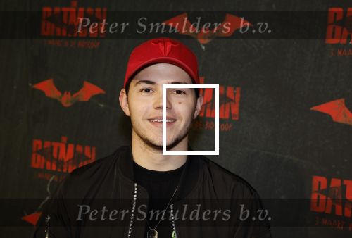 Amsterdam 28 februari 2022
Premiere Batman in Pathe Arena .
Vincent Visser