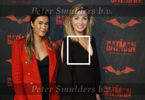 Amsterdam 28 februari 2022
Premiere Batman in Pathe Arena .
Welmoed Sijtsma kwam met Renee Bosveld