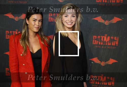 Amsterdam 28 februari 2022
Premiere Batman in Pathe Arena .
Welmoed Sijtsma kwam met Renee Bosveld