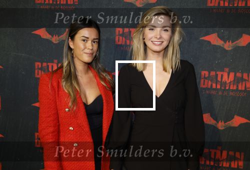 Amsterdam 28 februari 2022
Premiere Batman in Pathe Arena .
Welmoed Sijtsma kwam met Renee Bosveld