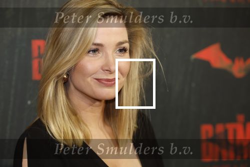Amsterdam 28 februari 2022
Premiere Batman in Pathe Arena .
Welmoed Sijtsma kwam met Renee Bosveld