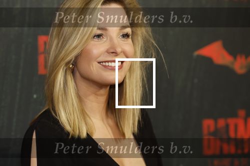 Amsterdam 28 februari 2022
Premiere Batman in Pathe Arena .
Welmoed Sijtsma kwam met Renee Bosveld