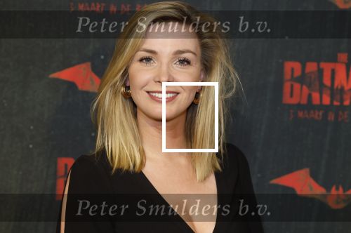 Amsterdam 28 februari 2022
Premiere Batman in Pathe Arena .
Welmoed Sijtsma kwam met Renee Bosveld