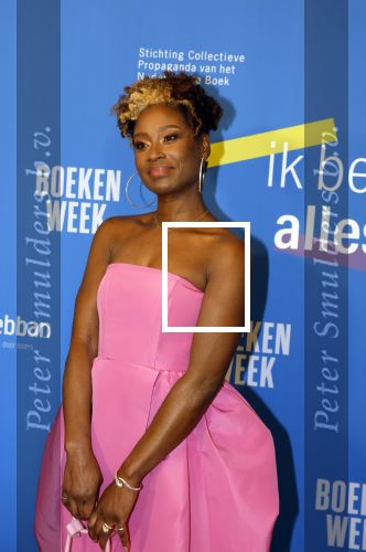 Amsterdam 10 maart 2023
Boekenbal 2023 in de schouwburg van Amsterdam.