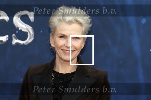 Amsterdam 5 maart 2023
Premiere les Miserables in Carre. Anita Witzier