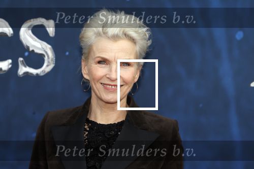 Amsterdam 5 maart 2023
Premiere les Miserables in Carre. Anita Witzier
