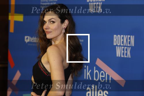 Amsterdam 10 maart 2023
Boekenbal 2023 in de schouwburg van Amsterdam.
Anna Drijver
