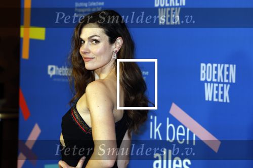 Amsterdam 10 maart 2023
Boekenbal 2023 in de schouwburg van Amsterdam.
Anna Drijver