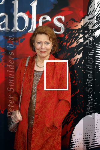 Amsterdam 5 maart 2023
Premiere les Miserables in Carre.
Bruni Heinke