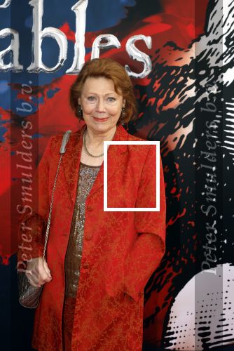 Amsterdam 5 maart 2023
Premiere les Miserables in Carre.
Bruni Heinke