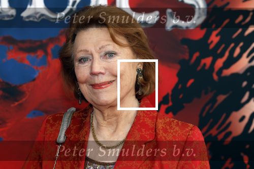 Amsterdam 5 maart 2023
Premiere les Miserables in Carre.
Bruni Heinke