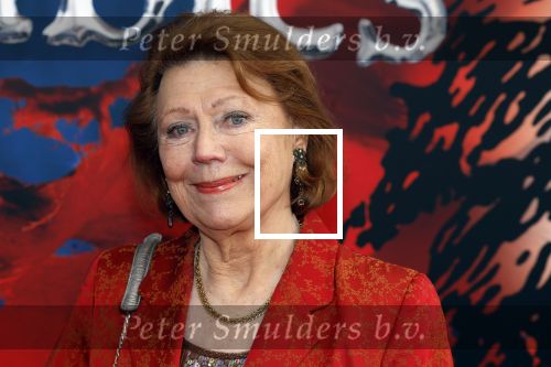 Amsterdam 5 maart 2023
Premiere les Miserables in Carre.
Bruni Heinke