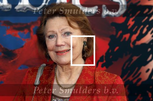 Amsterdam 5 maart 2023
Premiere les Miserables in Carre.
Bruni Heinke