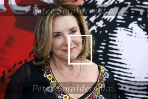 Amsterdam 5 maart 2023
Premiere les Miserables in Carre.
Catherine Keyl