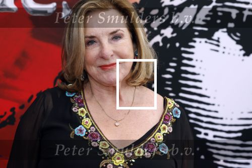 Amsterdam 5 maart 2023
Premiere les Miserables in Carre.
Catherine Keyl