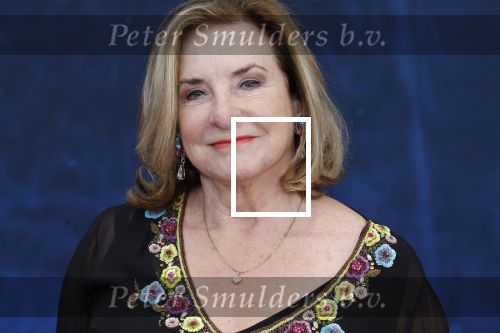 Amsterdam 5 maart 2023
Premiere les Miserables in Carre.
Catherine Keyl