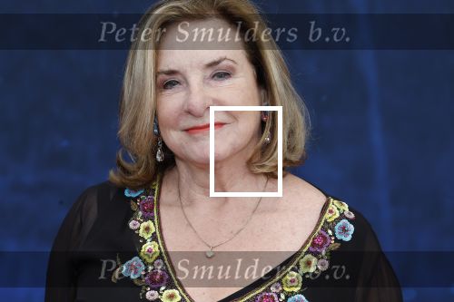 Amsterdam 5 maart 2023
Premiere les Miserables in Carre.
Catherine Keyl