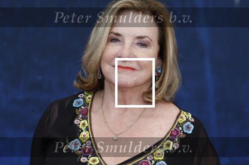 Amsterdam 5 maart 2023
Premiere les Miserables in Carre.
Catherine Keyl