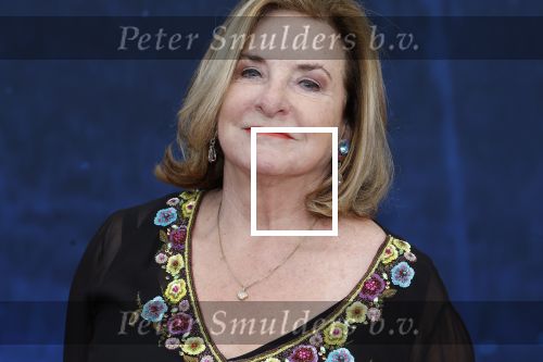 Amsterdam 5 maart 2023
Premiere les Miserables in Carre.
Catherine Keyl