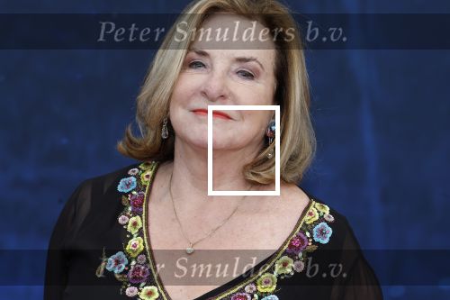 Amsterdam 5 maart 2023
Premiere les Miserables in Carre.
Catherine Keyl