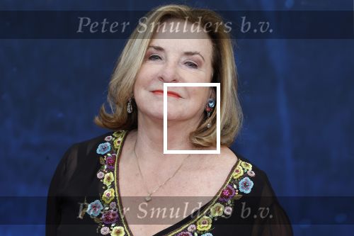 Amsterdam 5 maart 2023
Premiere les Miserables in Carre.
Catherine Keyl