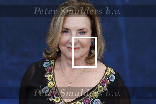 Amsterdam 5 maart 2023
Premiere les Miserables in Carre.
Catherine Keyl