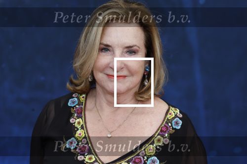 Amsterdam 5 maart 2023
Premiere les Miserables in Carre.
Catherine Keyl