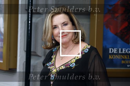 Amsterdam 5 maart 2023
Premiere les Miserables in Carre.
Catherine Keyl