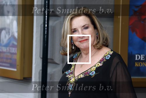 Amsterdam 5 maart 2023
Premiere les Miserables in Carre.
Catherine Keyl