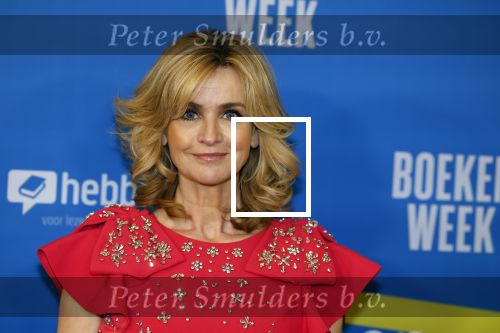 Amsterdam 10 maart 2023
Boekenbal 2023 in de schouwburg van Amsterdam.
Daphne Deckers