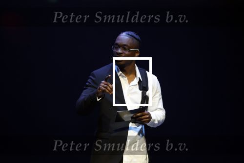 Leusden 6 maart 2023
Uitreiking Edisons in het AFAS theater .
Defano Holwijn