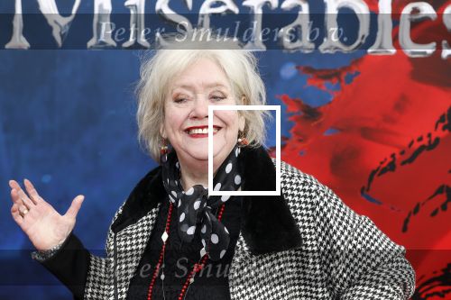 Amsterdam 5 maart 2023
Premiere les Miserables in Carre.
Duck Jetten